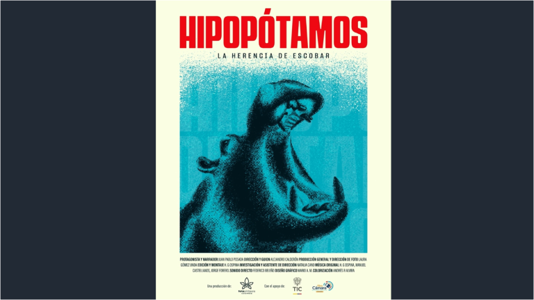 Hipopótamos