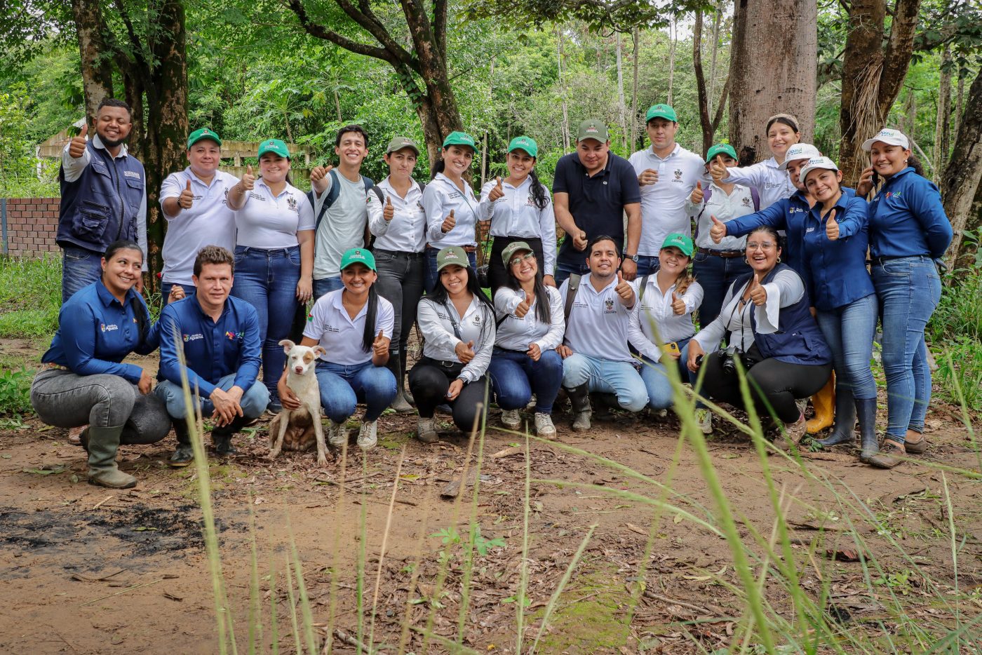 Casanare Reverdece3