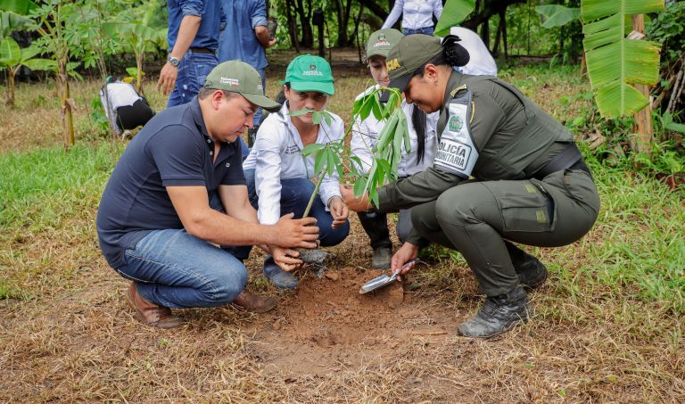 Reverdece Casanare