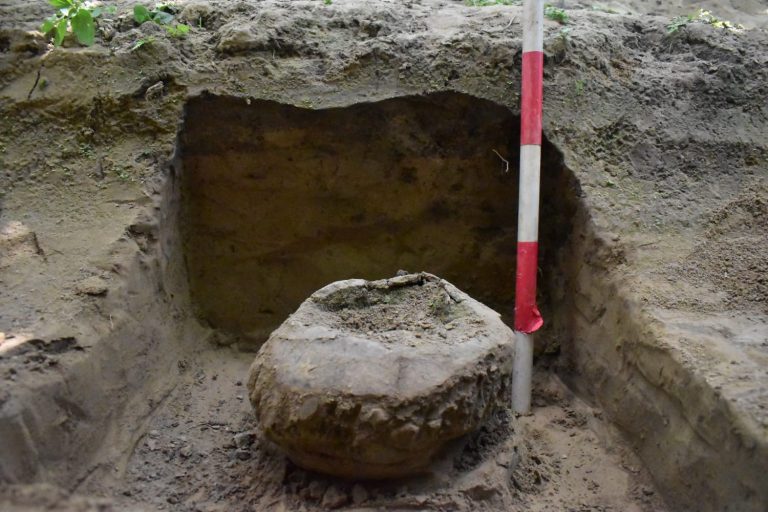 Arqueologia Meta
