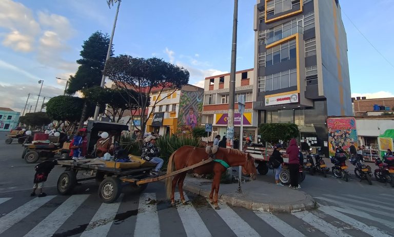 Recicladores Sogamoso