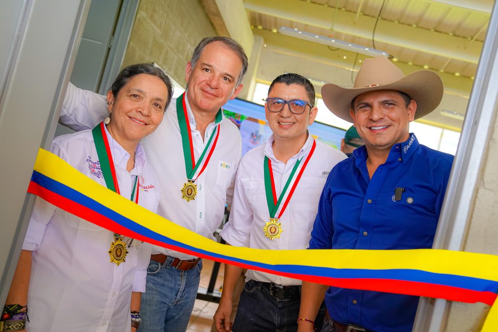 Zorro y vice Esducación