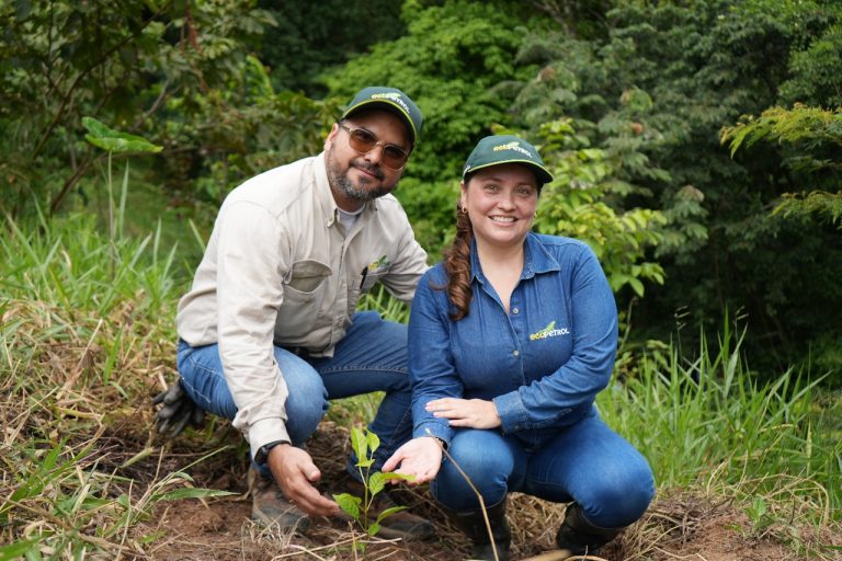 Siembra de árboles Ecopetrol en Casanare