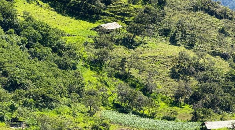 Proyecto Finca Boyacá