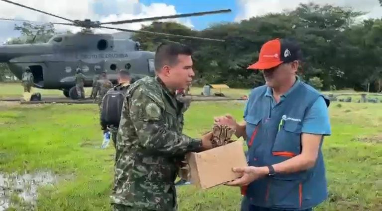 Rescatan tigrillo en Vichada