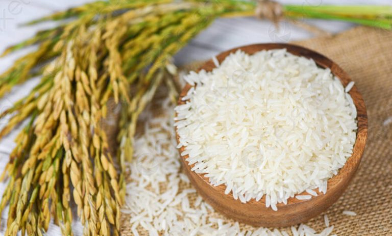 Arroz en Casanare