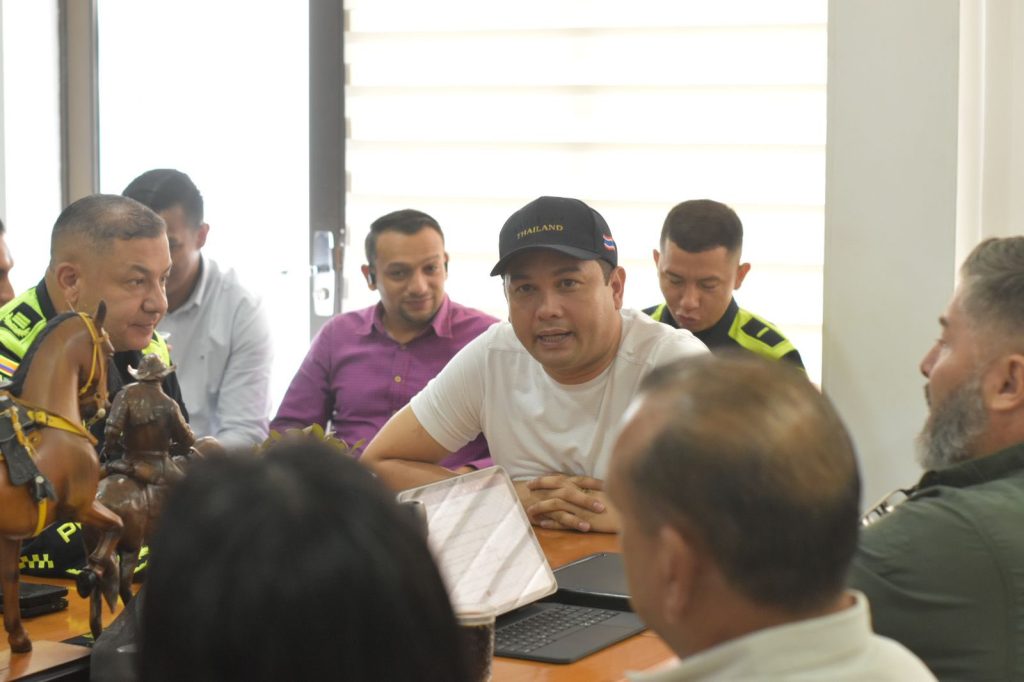 Consejo de Seguridad en Maní2