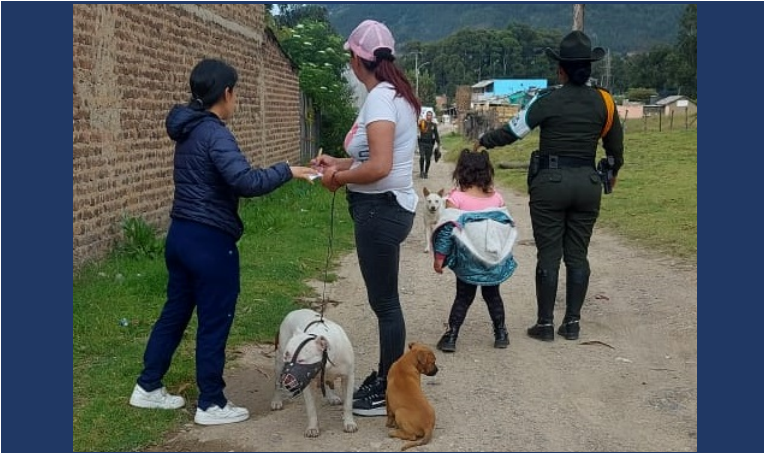 Mascotas Sogamoso