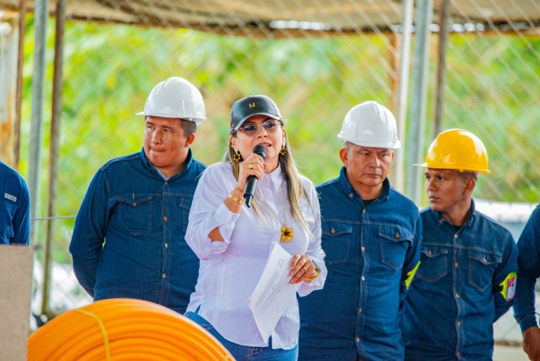 Nubia Castro Molano, gerente de Enerca