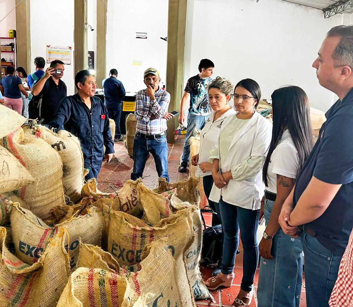 Casanare le pone aroma de futuro a su café: nace el proyecto de una planta procesadora moderna