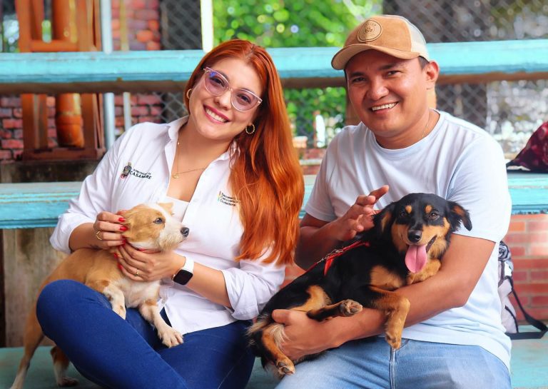 Esterilizaciones 6