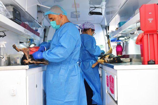 Esterilizaciones3
