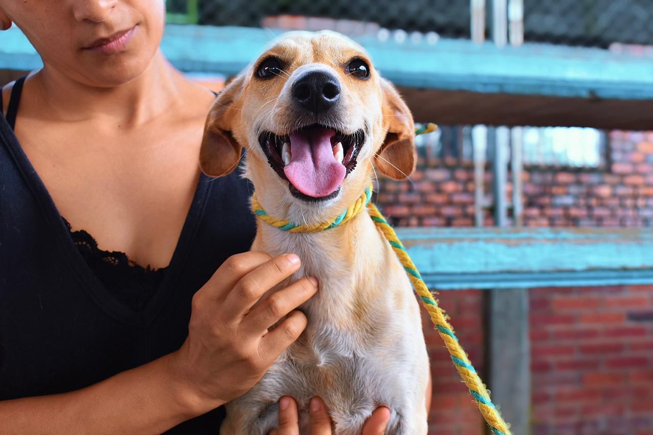 Esterilizaciones5