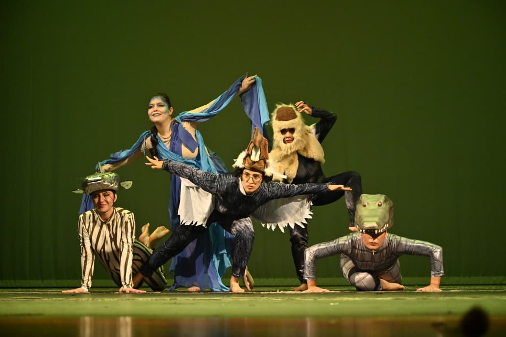 La danza colombiana e internacional enamoró en las noches del FICC