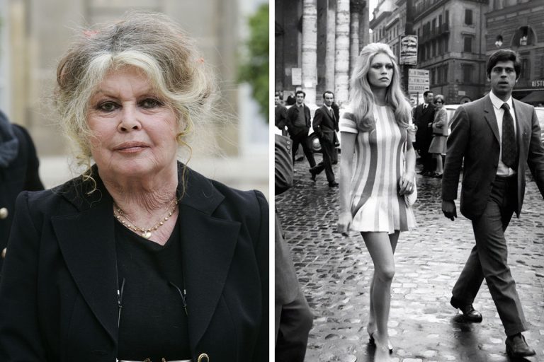 brigitte-bardot-actress-racist-anti-muslim-cover_800