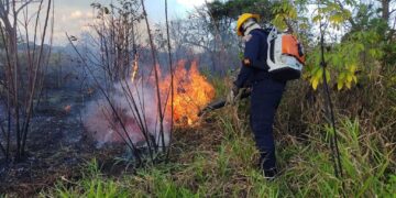 Yopal en riesgo de alerta roja por incendios forestales
