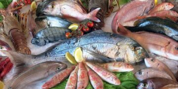 Secretaría de Salud de Boyacá emite lineamientos para el consumo seguro de pescado y productos de mar