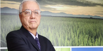 Estafadores se hacen pasar por gerente de Fedearroz, para ‘tumbar’ en Meta y Casanare