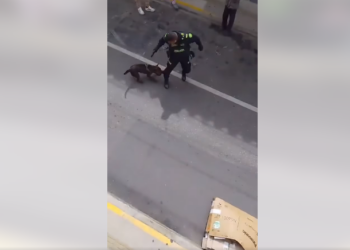 Tensión en Rionegro: Policía abate a un perro durante operativo y se desata asonada