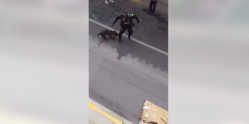 Tensión en Rionegro: Policía abate a un perro durante operativo y se desata asonada