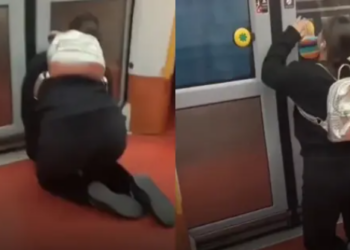 Moda therians: Se creyó perro y trató de abrir las puertas del Metro de Madrid