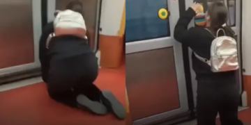 Moda therians: Se creyó perro y trató de abrir las puertas del Metro de Madrid