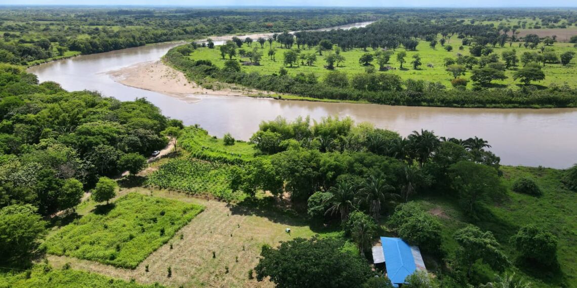 YOPAL: Donde el Cravo Sur arrasaba con todo, hoy 500 familias volvieron a sembrar y transitar con tranquilidad