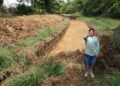 CASANARE Fin al drama de las inundaciones en Pore: Maquinaria trabaja en La Curama para salvar cultivos