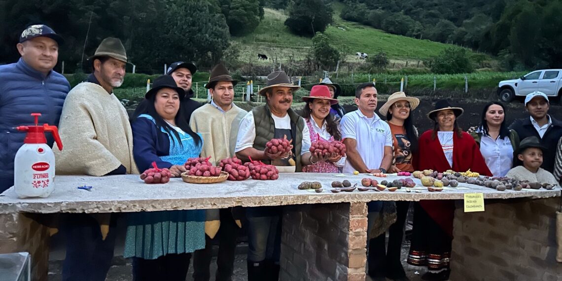 Boyacá y Perú son buena papa: están fortaleciendo la cadena productiva de la papa con intercambio técnico y transferencia de conocimiento