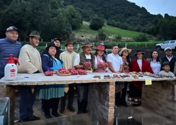 Boyacá y Perú son buena papa: están fortaleciendo la cadena productiva de la papa con intercambio técnico y transferencia de conocimiento