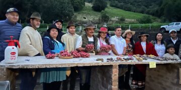 Boyacá y Perú son buena papa: están fortaleciendo la cadena productiva de la papa con intercambio técnico y transferencia de conocimiento