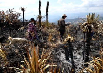 Sogamoso activa plan de contingencia y refuerza acciones preventivas para mitigar efectos del Fenómeno de El Niño