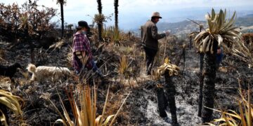Sogamoso activa plan de contingencia y refuerza acciones preventivas para mitigar efectos del Fenómeno de El Niño