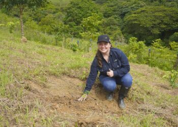 Más de 120 árboles nativos se suman a la restauración ambiental de Ecopetrol en Casanare
