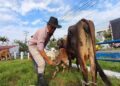 Feria ganadera de Yopal reunió a productores y presentó proyecto para beneficiar a 1.200 familias